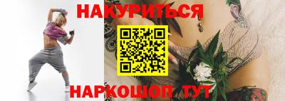 крисы Кингисепп