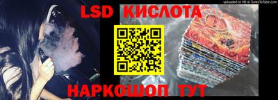 прущие грибы Кандалакша