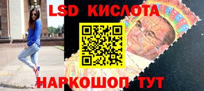 прущие грибы Кандалакша