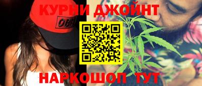 крисы Кингисепп