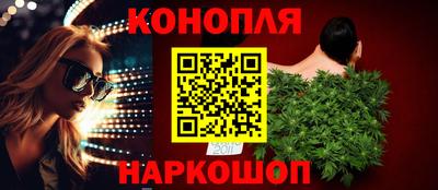 прущие грибы Кандалакша