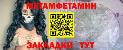 прущие грибы Кандалакша